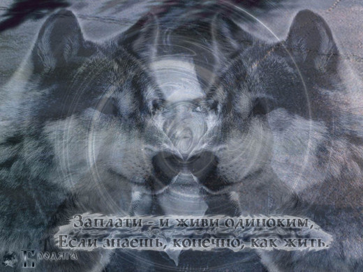 394540 (a): :1024x768